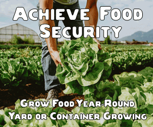 Local Harvest Gardening
